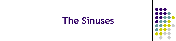 The Sinuses